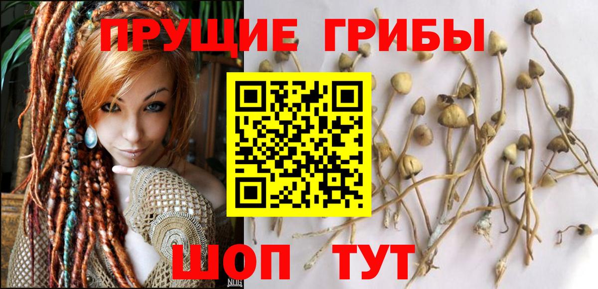 наркошоп  Вход с VPN  Карталы  Псилоцибиновые грибы прущие грибы 